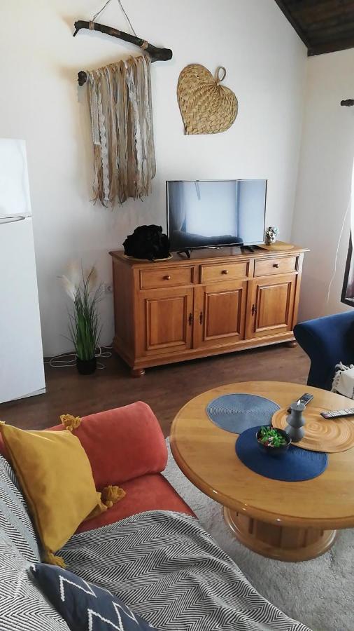 Apartman Romy Pancevo Bagian luar foto