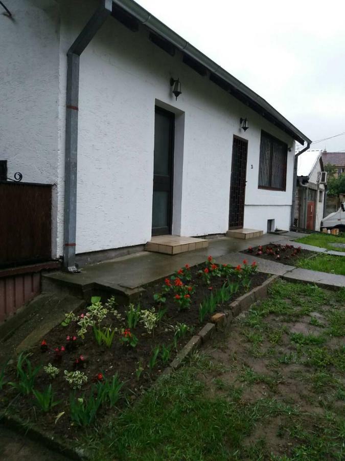 Apartman Romy Pancevo Bagian luar foto