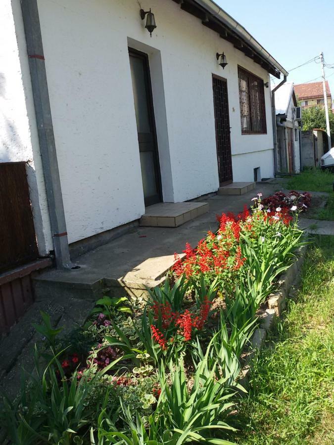Apartman Romy Pancevo Bagian luar foto